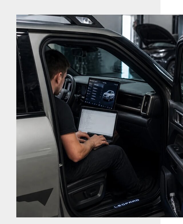 Русификация BYD Leopard 3 в Омске по цене от 20634 р. | ФастМобиль-Омс